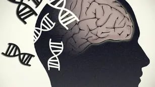 Alzheimer, Parkinson. Cerebro y genética. (Flicker/National Human Genome RE/Europa Press/DPA)