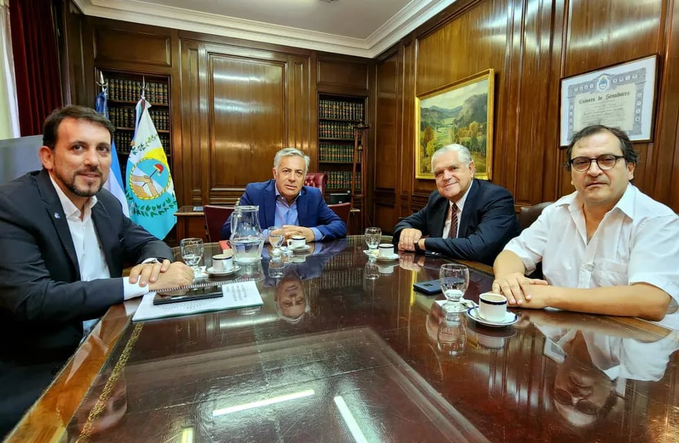 Alfredo Cornejo, Ricardo López Murphy, Tadeo García Zalazar y Rodolfo Distel. Foto: Twitter