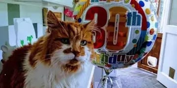 Nació en mayo de 1988 y para su cumpleaños tuvo una gran fiesta. Las fotos de la celebración se hicieron virales.