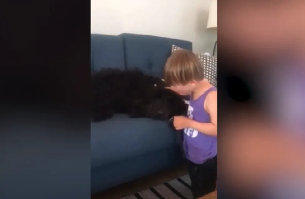Por suerte para la perrita, August estaba ahí para consolar a su peluda amiga.