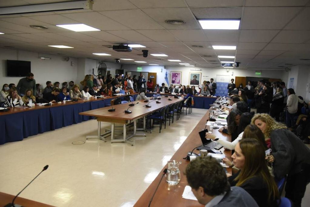 Los diputados escucharon a más de 160 expositores sobre la ley de alquileres (Foto: HCDN)
