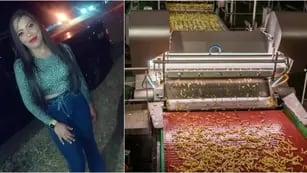 Brasil: una trabajadora murió tras caerse en una trituradora de papas