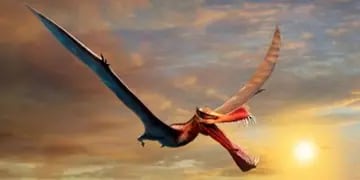 Descubrieron gigantesco "dragón" que surcó los cielos en la era de los dinosaurios
