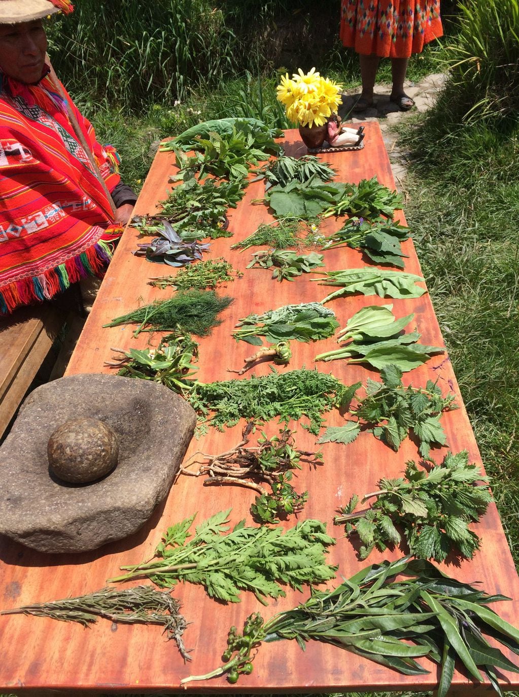 Los pueblos originarios andinos conservaron las tradiciones y conocimientos acerca del vegetalismo autóctono