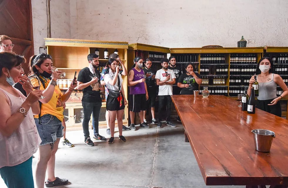 Turismo, visitas guiadas a bodegas, desgutacion de vinos.
foto: Mariana Villa / Los Andes