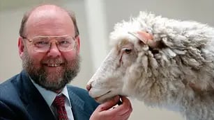 Murió el científico Ian Wilmut, pionero de la clonación y "padre" de oveja Dolly