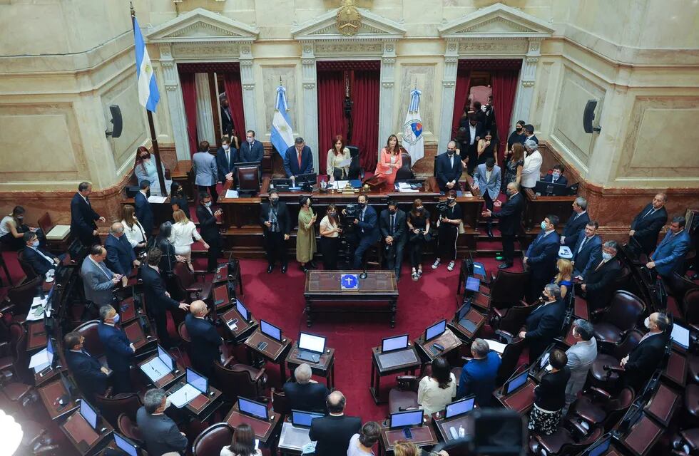 Cristina Kirchner durante la sesiòn en el Senado. (Federico Lopez Claro)