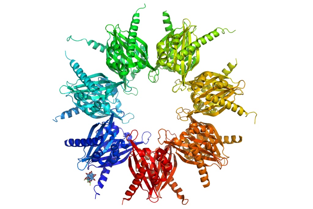 Representación de las enzimas quinasas