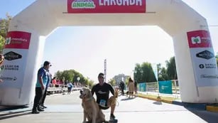 Maratón animal ciudad de Mendoza