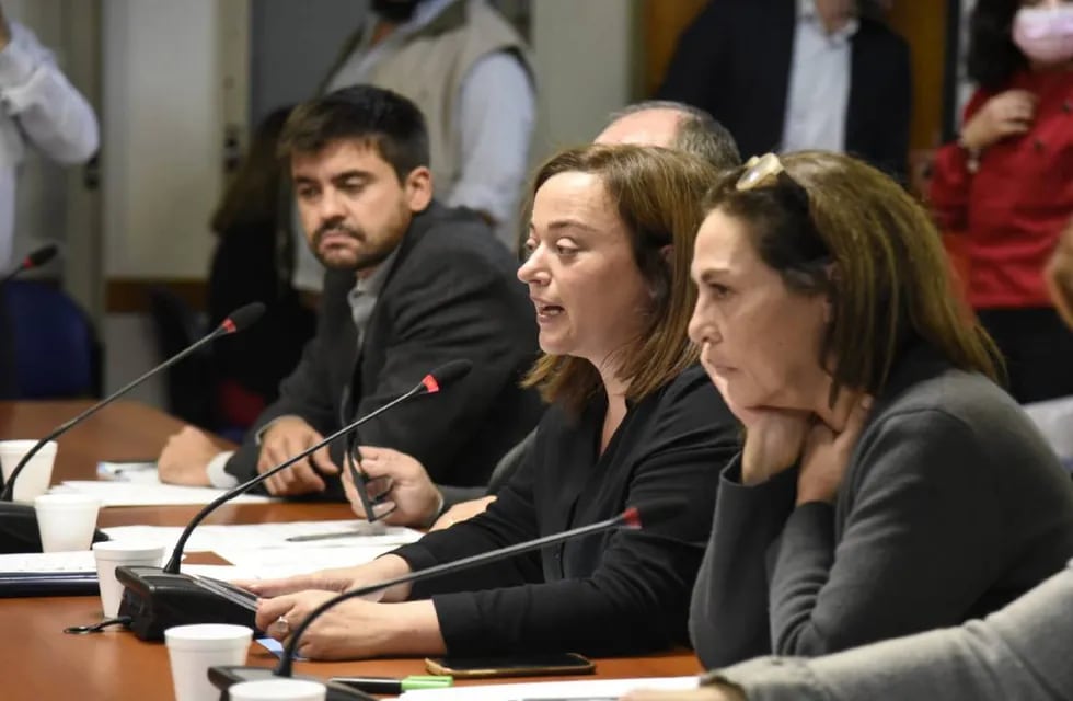 La Comisión de Legislación General, presidida por Cecilia Moreau, emitió tres dictámenes sobre la ley de alquileres (Foto: HCDN)