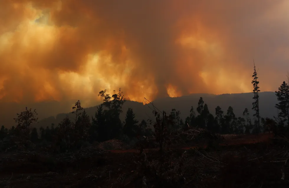 Hasta el momento, 26 personas personas han muerto por los incendios forestales en Chile. Foto: Gentileza