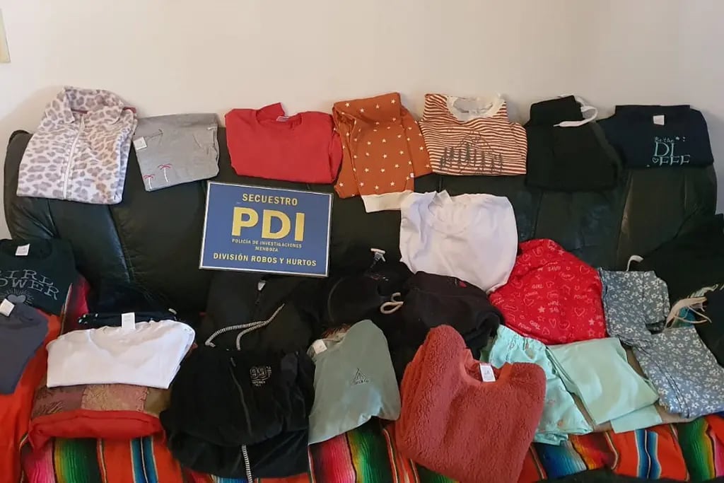Detuvieron en Godoy Cruz a dos hermanos que vendían por Facebook ropa que había sido robada. | Foto: Ministerio de Seguridad y Justicia