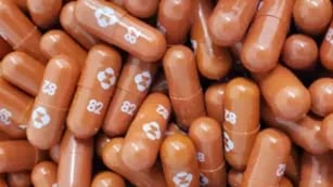 Píldoras anticovid