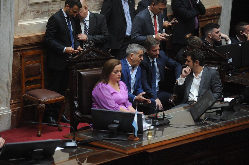 Cecilia Moreau,  presidenta de la Cámara de Diputados de la Nación - Foto: Federico López Claro