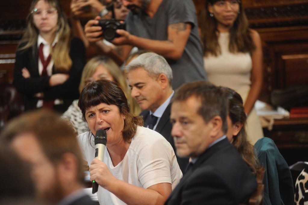 La diputada Carolina Gaillard subió la temperatura del debate con duras acusaciones (Foto: Federico López Claro)