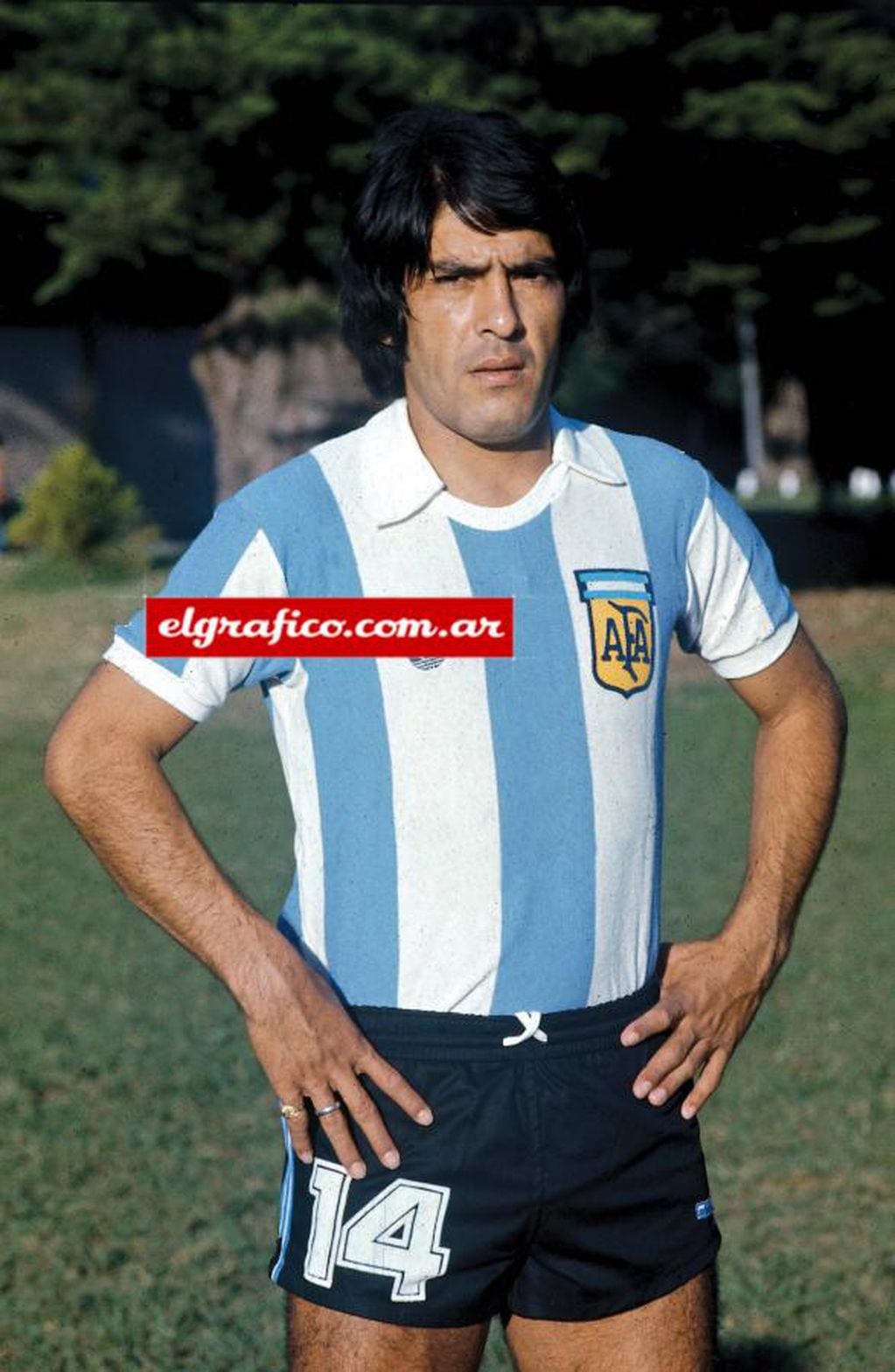 Rubén Galván, Mundial '78.