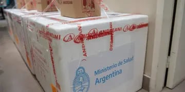 Llegaron las primeras dosis de la vacuna Sputnik V a Mendoza