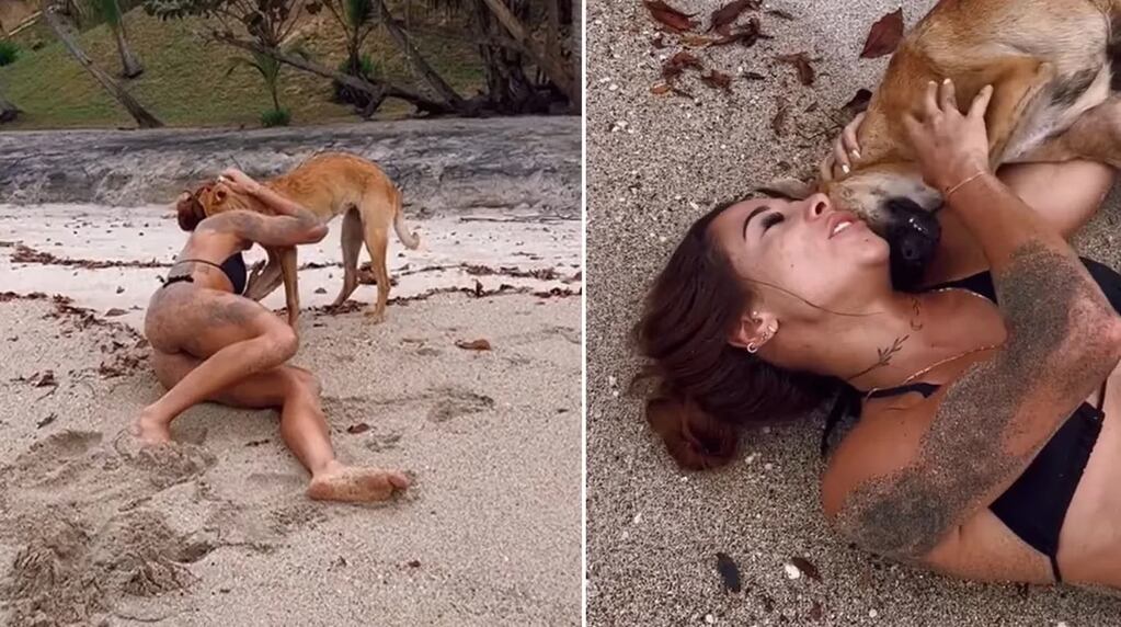 La joven se quiso filmar junto a "Arenita", como la bautizó, y la perra casi la deja sin bikini. El video se volvió viral en TikTok.