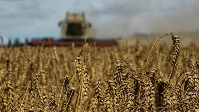 Acuerdo por el grano ucraniano