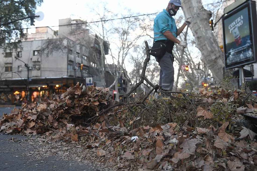 Después del viento zonda, Personal de limpieza juntan las hojas en las calles de Ciudad