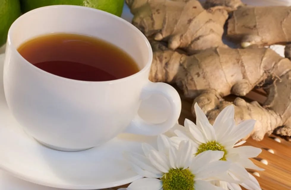 El té se produce infusionando las hojas tiernas y los brotes de las hojas de la planta del té, Camellia sinensis, en agua hervida. | Imagen ilustrativa / Web