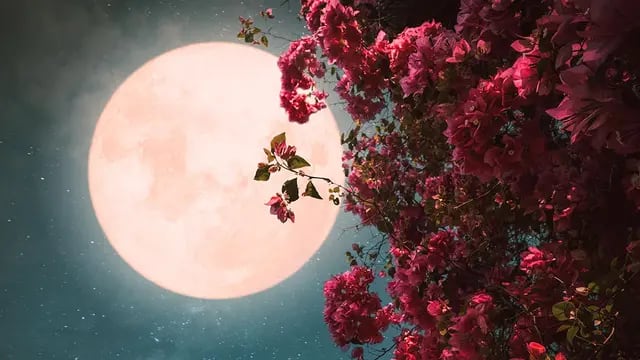 Luna de las Flores de mayo