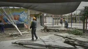 Tres árboles caídos en patios de jardines de Escuela Juan Francisco Cobo, en Godoy Cruz