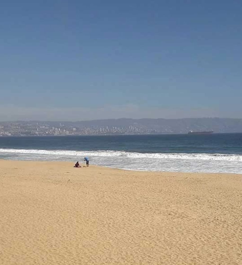 Ritoque, la tranquila playa de dunas y bosques ubicada a una hora de Reñaca e ideal para surfear. Foto: Instagram @chiledreamtours