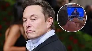 Elon Musk volvió a elogiar a Milei con un posteo hot