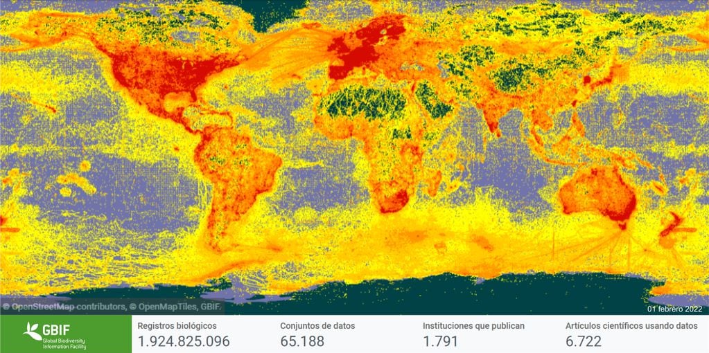 Distribución espacial de registros de colecta de biodiversidad. Los datos se devuelven como puntos y la agrupación de datos va del amarillo para datos individuales al rojo para sectores con la mayor disponibilidad de información.