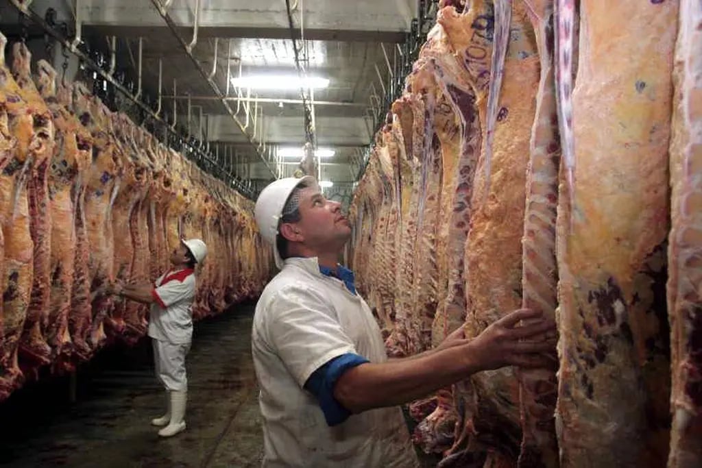  En el mes de julio se colocaron 9.200 toneladas de carne en China.
