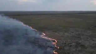 Un incendio forestal afecta la Reserva Natural de Punta Lara