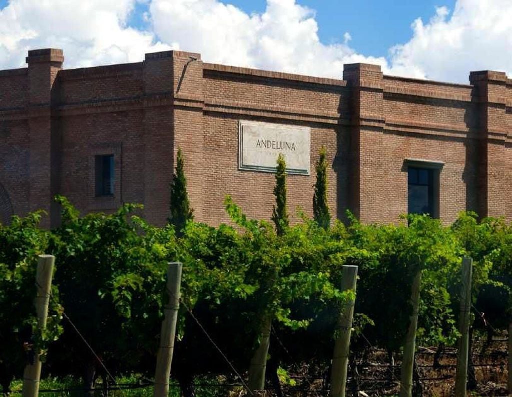 Ubicada en Gualtallary, Andeluna fue una de las bodegas elegidas entre las 100 marcas de vino y espirituosas más prestigiosas del mundo. 