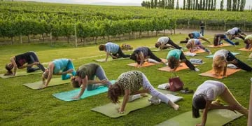 Yoga por los Caminos del Vino