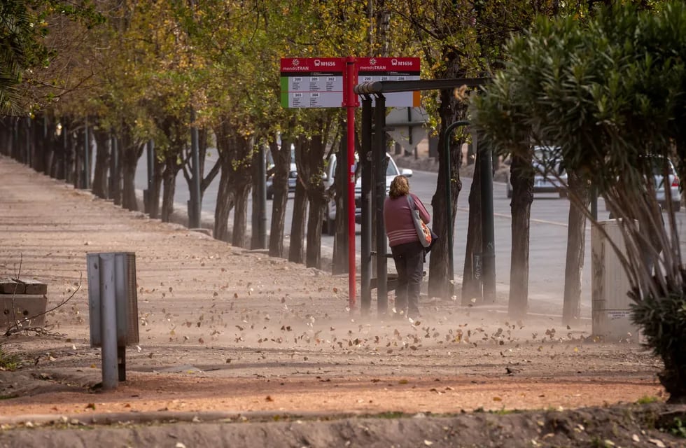 El viento Zonda bajo al llano y con rafagas de fuerte intesidad en la ciudad de Mendoza. Foto: Ignacio Blanco / Los Andes