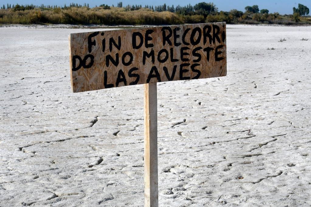 La Laguna del Viborón, un humedal clave que está al borde de la sequía absoluta y desaparición. Foto: Orlando Pelichotti / Los Andes.
