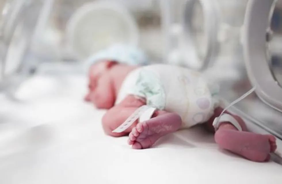 Investigadores descubren que la leche materna puede evitar el daño cerebral en bebés prematuros