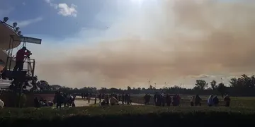 Incendios en Rosario: el intendente instó a que “metan presos” a los responsables de las quemas