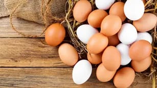 ¿Se pueden freezar los huevos crudos o cocidos?