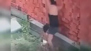 Video viral: se convirtió en “escudo humano” y salvó a su hijo de ser aplastado por una pared de ladrillos