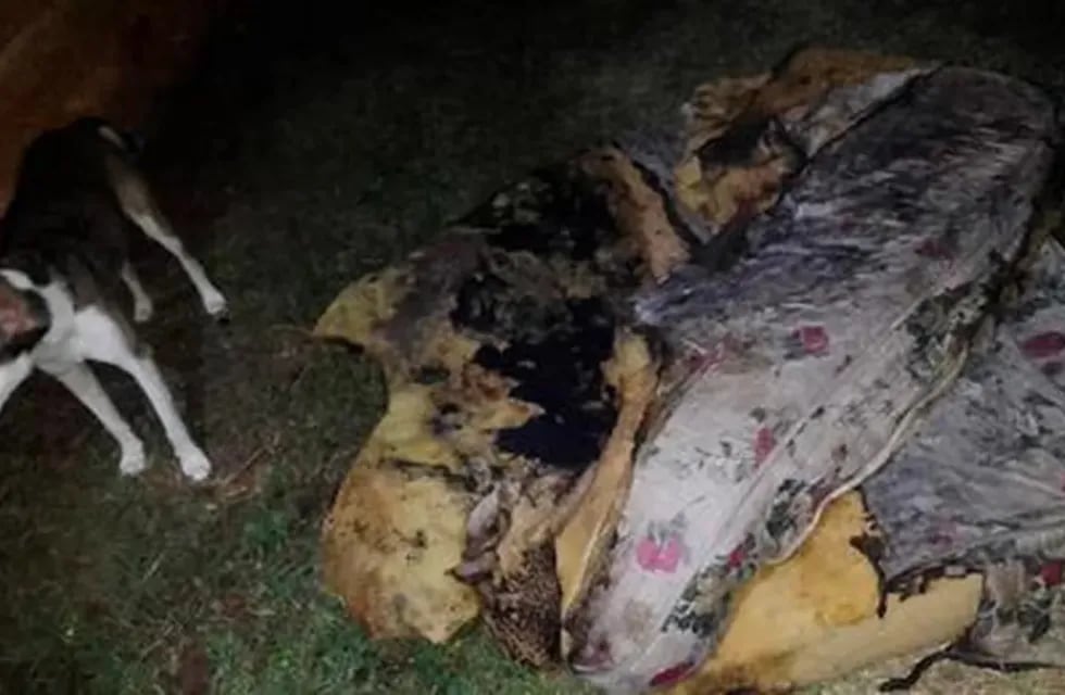 El colchón quemado por la mujer de 29 años en Concordia. Gentileza: TN.