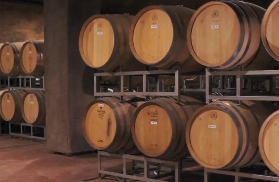 Desde su casco histórico de finales del siglo XIX, la bodega ha pasado de producir vino a granel a enfocarse en la elaboración de vinos de alta gama.