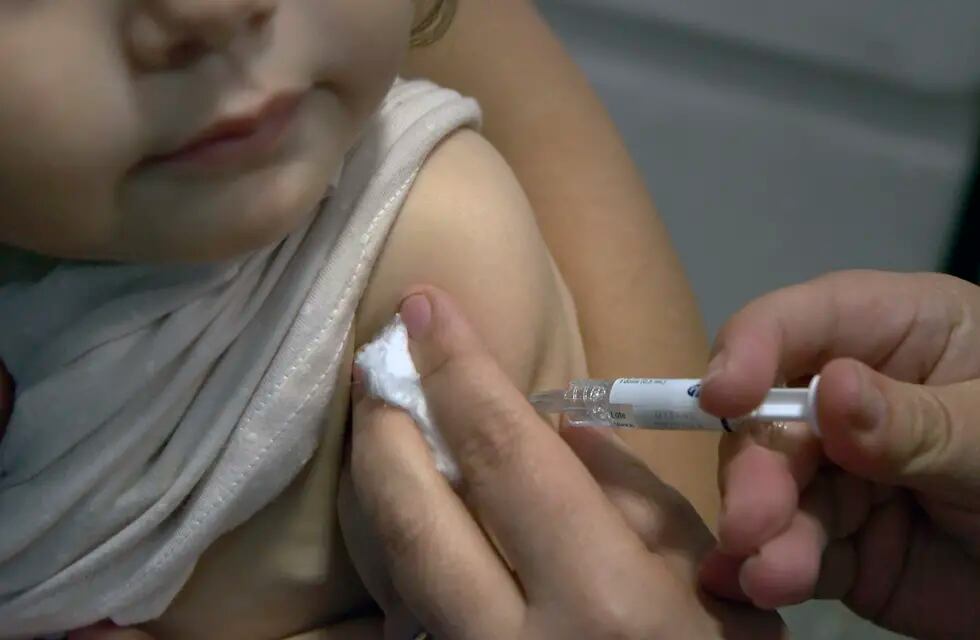 En el ministerio de Salud preparan una nueva campaña de vacunación, que se extenderá de octubre a noviembre. Foto: Orlando Pelichotti / Los Andes