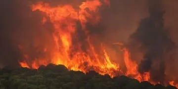 Incendio forestal en España.