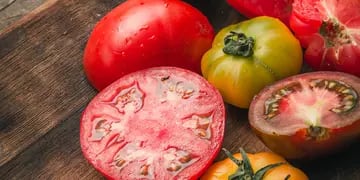 Distintas variedades de tomate