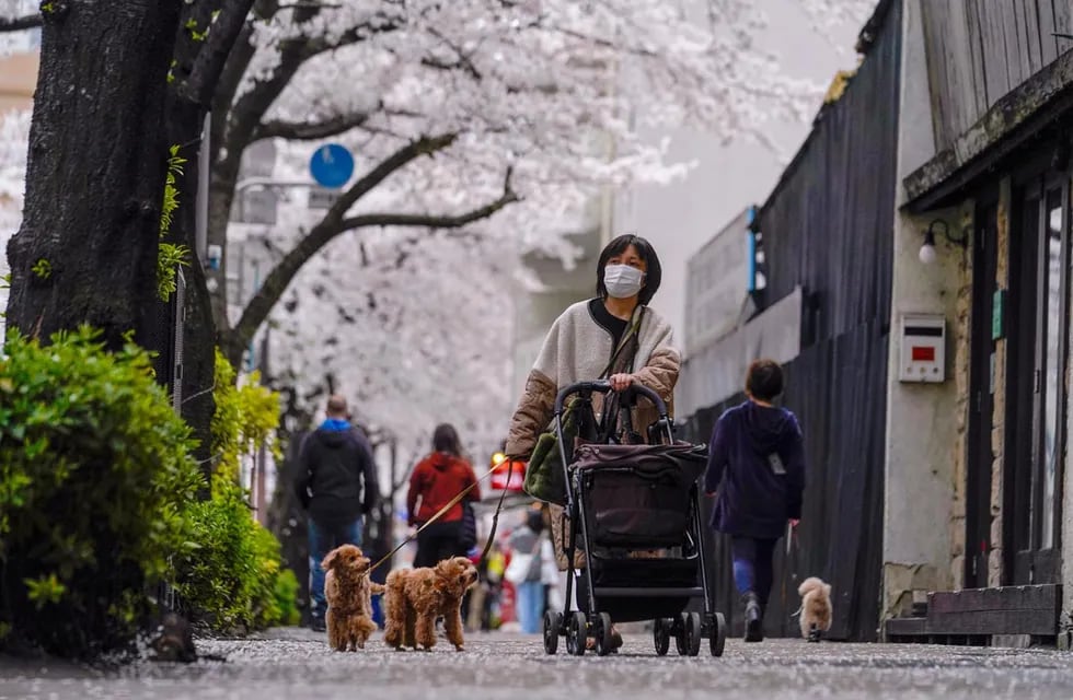 Japón es uno de los países peores posicionados en el informe anual del Foro Económico Mundial sobre la brecha global de género. (AP /Kiichiro Sato)
