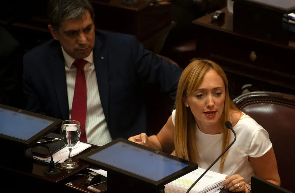 Sagasti, la mendocina que será clave en los planes de Cristina Fernández para la designación de jueces.