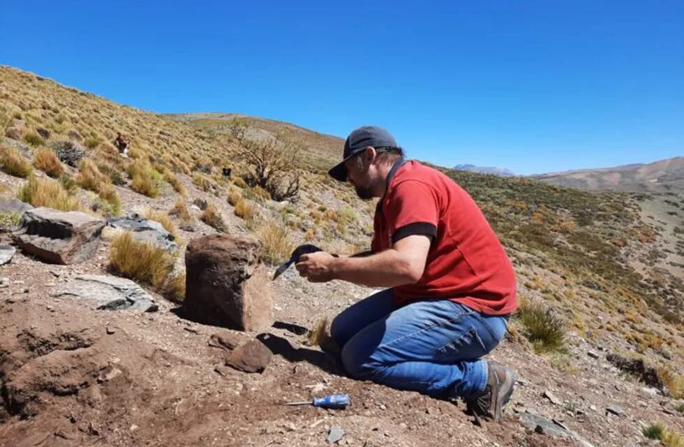Encontraron restos de dos dinosaurios en cercanías de Carqueque / Foto gentileza Ser y Hacer de Malargüe