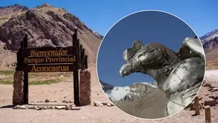 Una gran escultura del Cóndor Andino embellece desde hoy nuestro  Parque Provincial Aconcagua