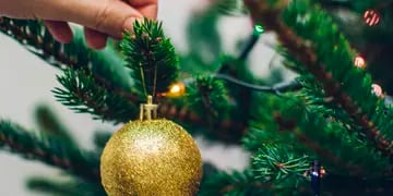 En Facebook ofrecen alimentos no perecederos a cambios de árboles de Navidad